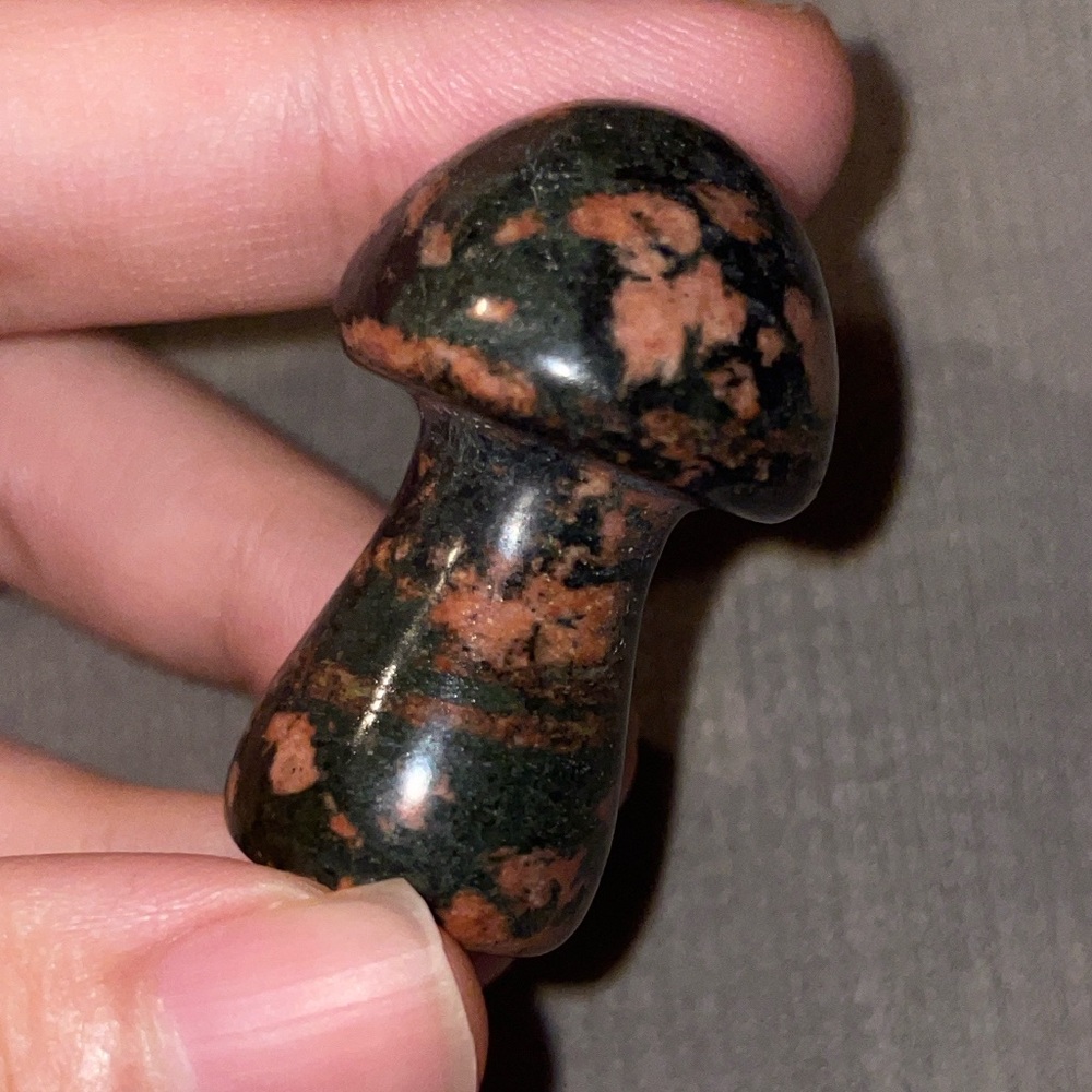 earthy jasper mushroom